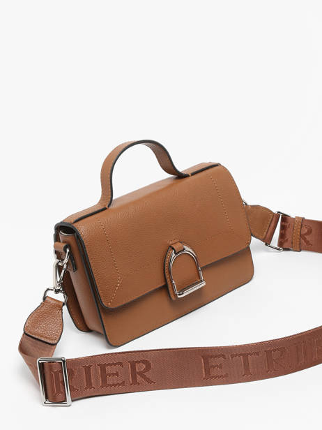 Small Leather Altesse Crossbody Bag Etrier Brown altesse EALT048S other view 2
